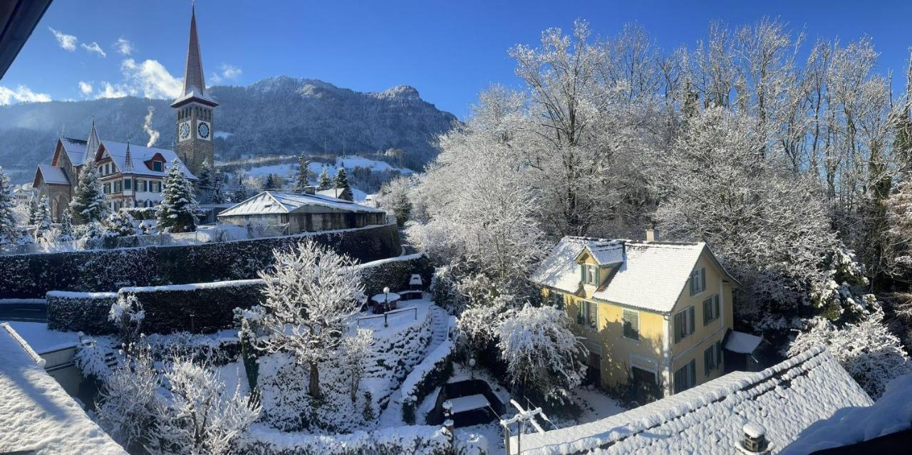 Cozy Boutique Apartment at Mt. Rigi Goldau Extérieur photo